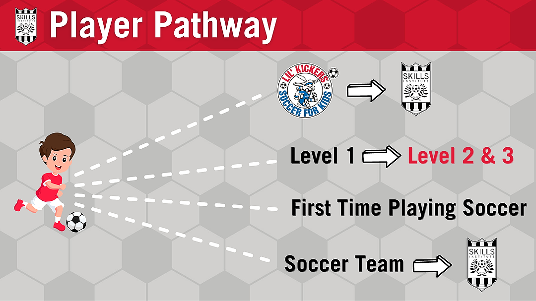 Skills Institute Player Pathway